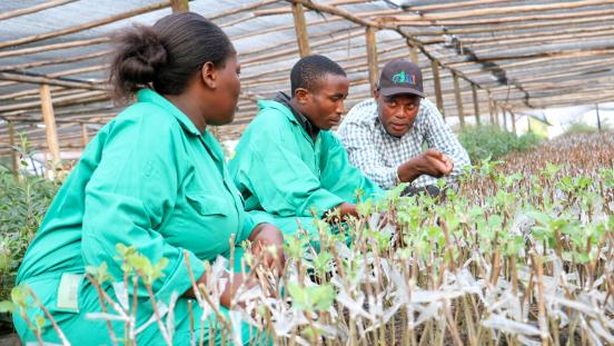 Youth in Uganada Learning How to Grow Apples