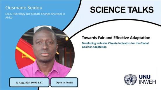 Ousmane Seidou