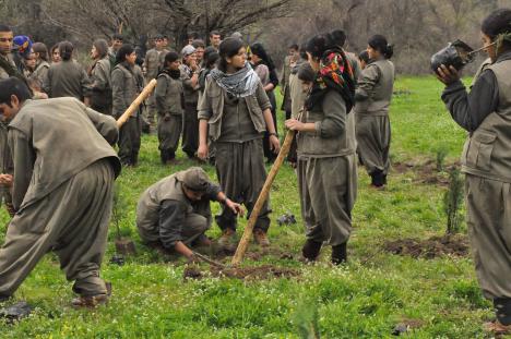 PKK Fighters plant trees at the Qandil Mountains