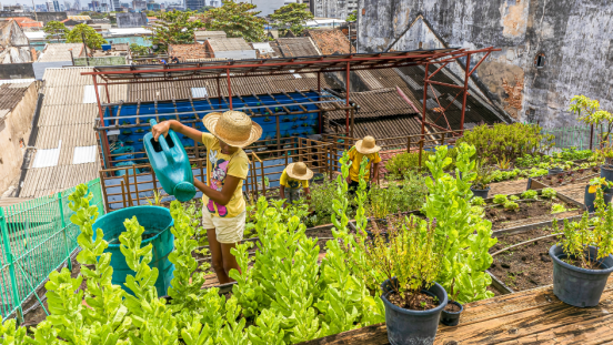 People working in a roof garden with a city in the background