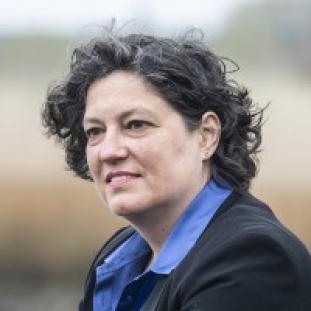 Prof. Dr. Ann Van Griensven