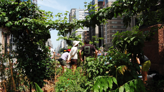 People planting an urban green space.