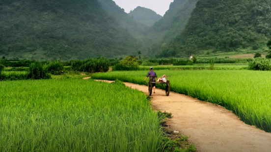 Man pulling cart on dirt road