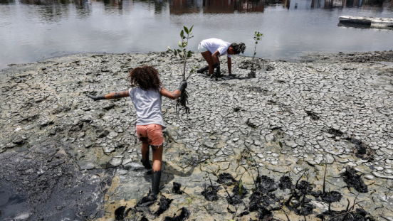 A man and child planting mangroves. 