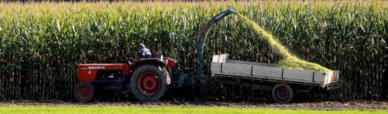 photo of a shredding machine in front of a field of corn