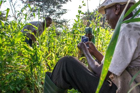 Farmer using smartphone.