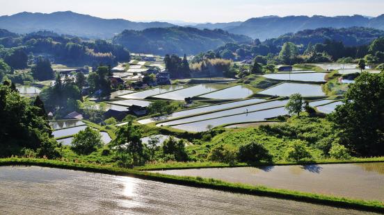 Rice paddies at the GIAHS in Okuizumo, Japan