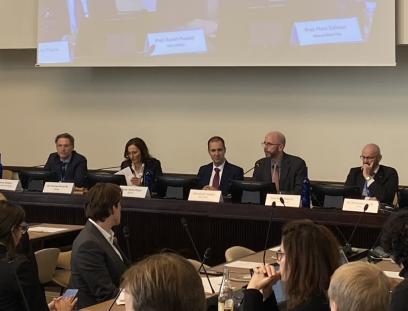 UNU‑INWEH Briefs the Group of Friends on Water and Peace in Geneva