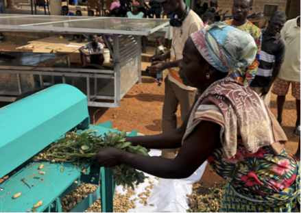 Smallholder farmer  testing INFoCAT renewable energy powered groundnut pod plucker in Gomoa(Central Region Ghana).png