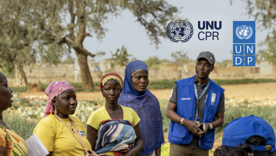UNDP report
