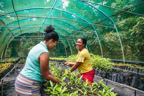 Climate resilience_blog_MERIT