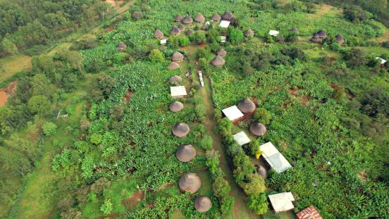 Enset homegardens in southern Ethiopia