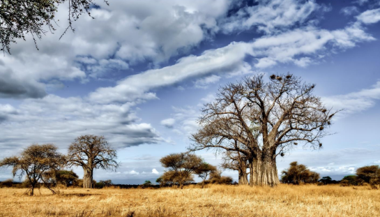 desolate landscape in Africa