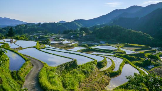 Rice Terraces in Kumamoto Prefecture, Japan