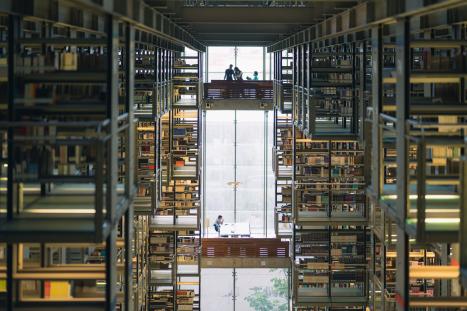 A bright, modern library interior with rows of computers on desks and large windows letting in natural light.