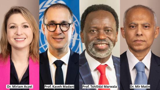 Authors of the UNU's AI report
