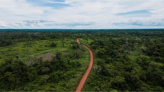 An aerial view of a road through a forest area in Africa 