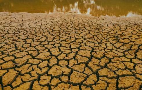 dried up lake