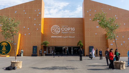 COP 16 in Riyadh
