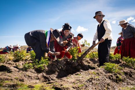Aymara Community in Peru 