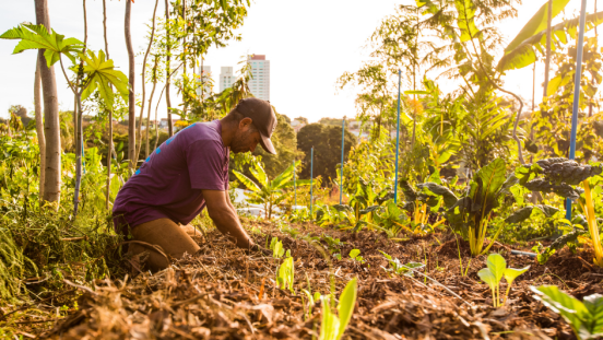 A man tends to an urban garden. 