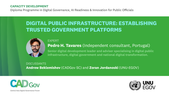 Digital Public Infrastructure: Establishing Trusted Government Platforms