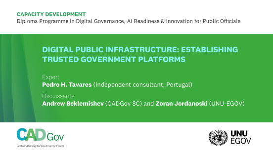 Digital Public Infrastructure: Establishing Trusted Government Platforms