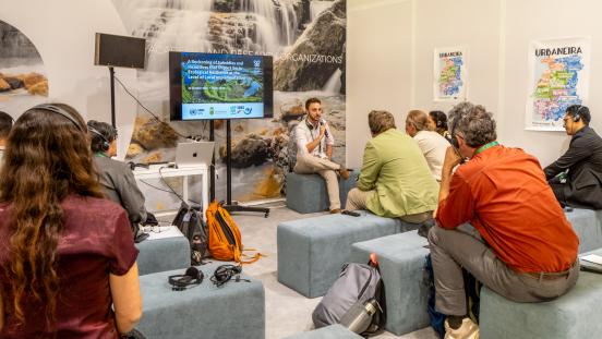 UNU-IAS Side Event at CBD COP17 on Subsidies and Incentives that Impact Socio-Ecological Resilience at the Level of Local Implementation