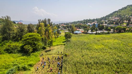 Land restoration in Kenya