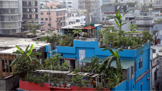 A rooftop with lots of green and plants amidst a city with high-rise buildings.