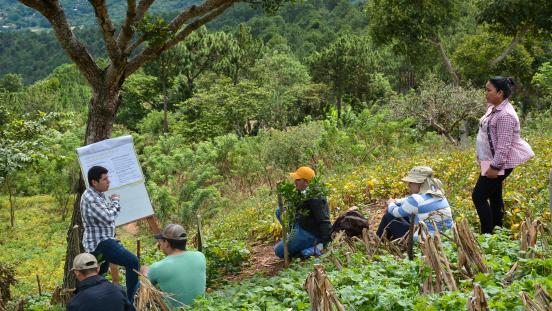 Farmers discussing landscape management in Nicaragua.
