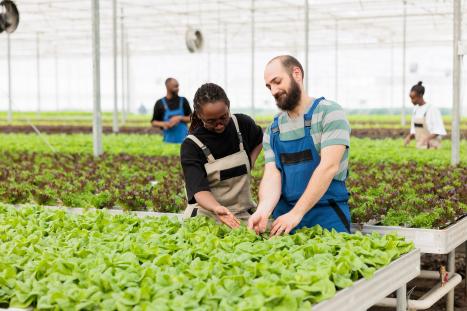 The launch marks an important milestone in establishing a global ecosystem for learning and engagement on sustainable food systems. 