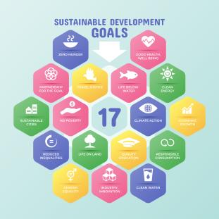 BIG IDEA: SDG Dialogue Series Presents ‘The Crucial Value of Approaching SDG Targets through a Nexus Lens’