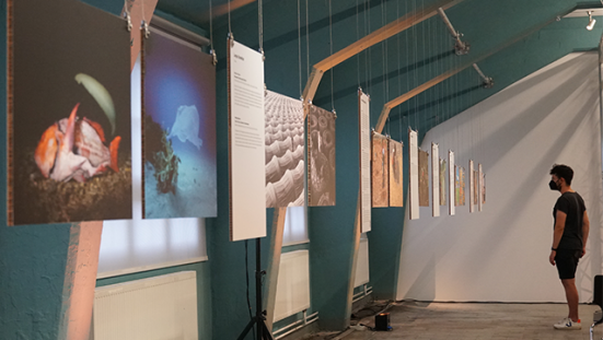 Exhibition Featuring “Sustainability Stories” Worldwide in Images Opens at Museum in Dresden