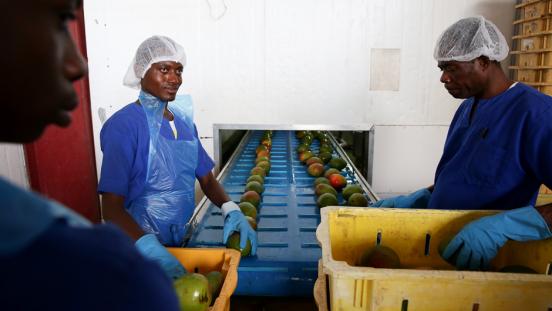 Factory workers producing fresh fruit drinks at Blue Skies, in Nsawan District, Ghana