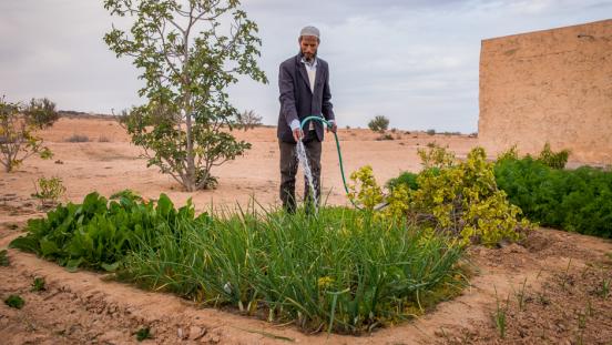 A small family farm in Tunisia