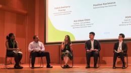 Panel Discussion at IPSI-9 Public Forum 