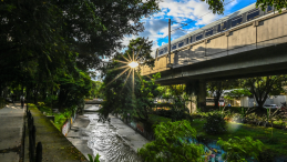 Sunlight reflected on a window pane of a train passing by in a city
