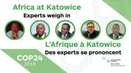 African experts at COP24