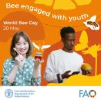 Capacity building for young researchers will be key in protecting bees
