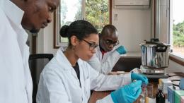 MSc students at the wood biology laboratory in Yangambi, DRC.