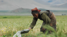 A woman working manually working land