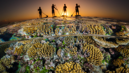 4 people on a sup board at sunset with coral visible under water. 