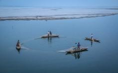 Collective fishing in Bangladesh