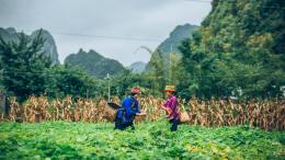 Women farmers in Guzhai village, China