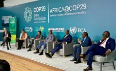 Africa @COP29