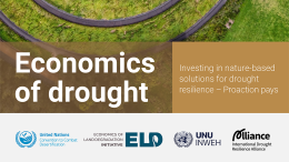 unccd-drought-report-banner