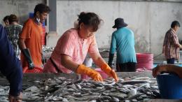 The migrant fishers in their working environment in Rayong province, Thailand