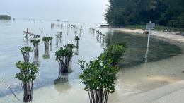 Pari Island