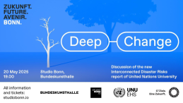 Cover image for UNU-EHS - Bundeskunsthalle event